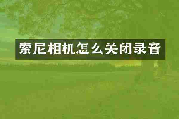 相机怎么关闭录音