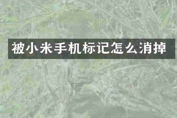 被小米手机标记怎么消掉