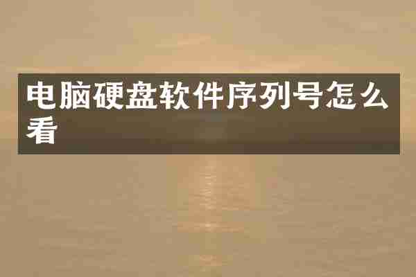 电脑硬盘软件序列号怎么看
