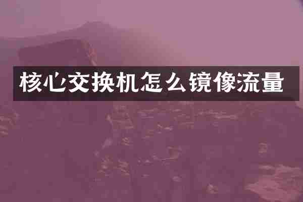 核心交换机怎么镜像流量