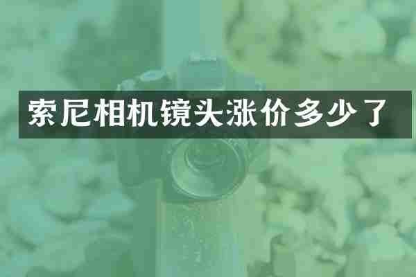 相机镜头涨价多少了