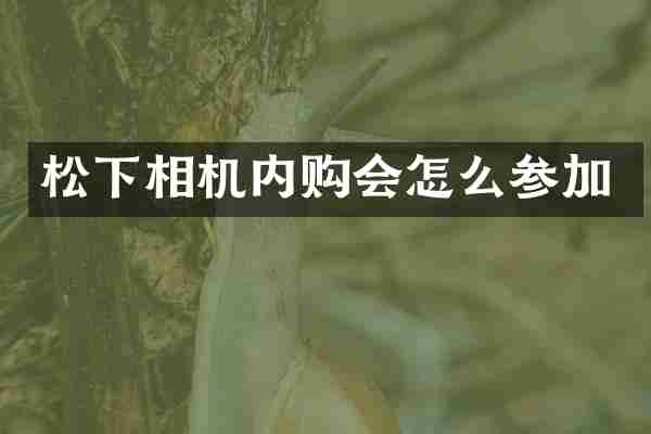 相机内购会怎么参加