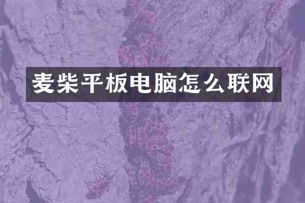 麦柴平板电脑怎么联网