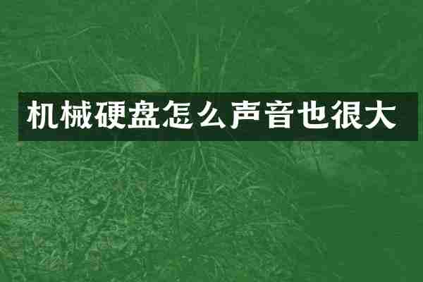 机械硬盘怎么声音也很大