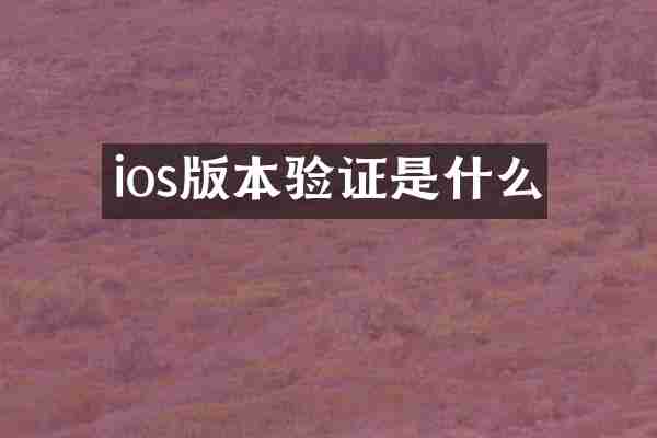 ios版本验证是什么