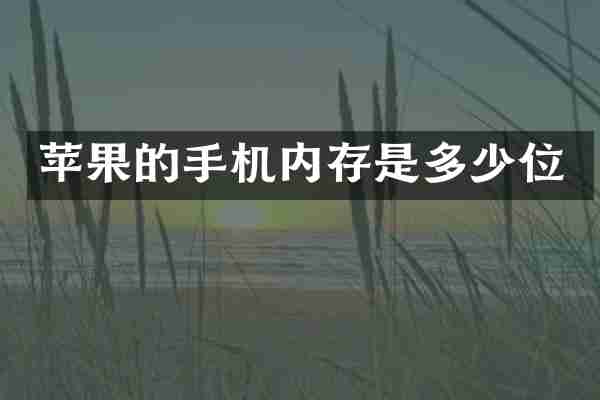 苹果的手机内存是多少位