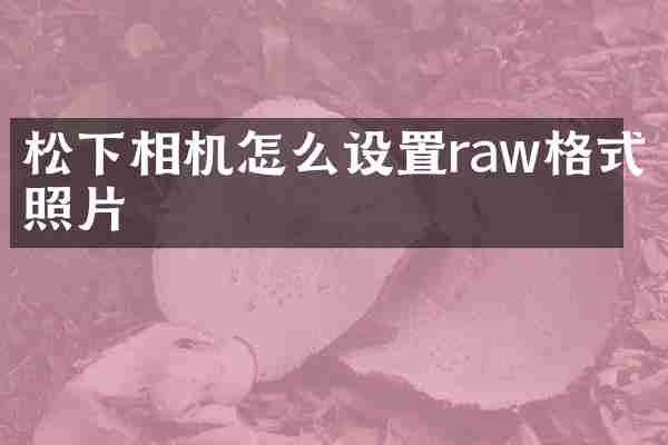 相机怎么设置raw格式照片