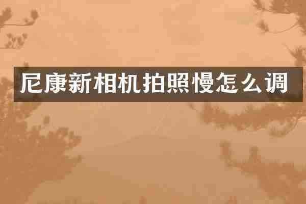 尼康新相机拍照慢怎么调