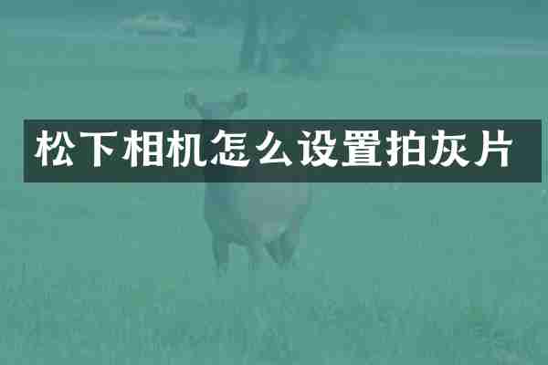 相机怎么设置拍灰片