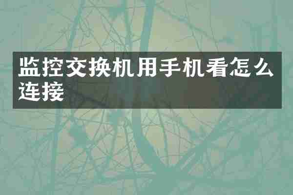 监控交换机用手机看怎么连接