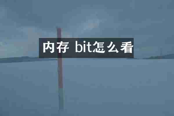 内存 bit怎么看
