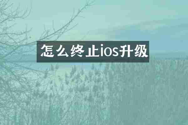 怎么终止ios升级