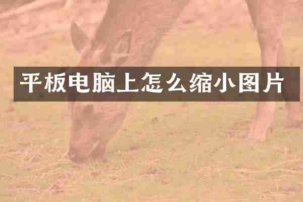 平板电脑上怎么缩小图片