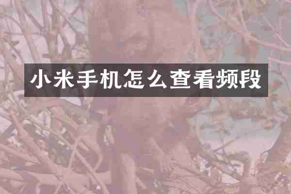 小米手机怎么查看频段