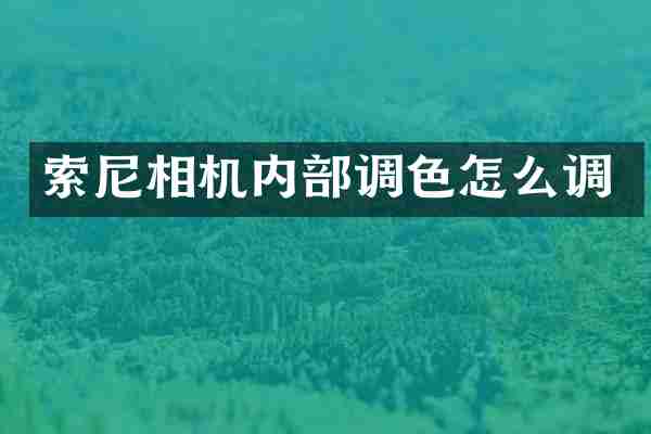 相机内部调色怎么调