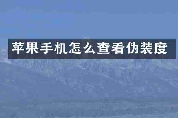 苹果手机怎么查看伪装度