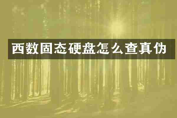 西数固态硬盘怎么查真伪