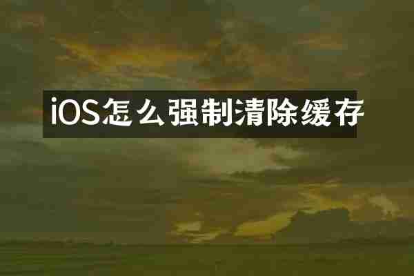 iOS怎么强制清除缓存