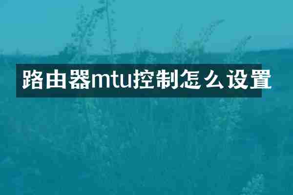 路由器mtu控制怎么设置