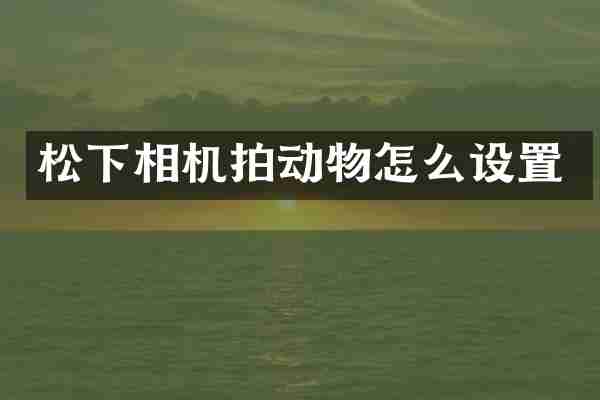 相机拍动物怎么设置