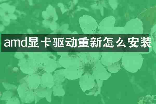 amd显卡驱动重新怎么安装