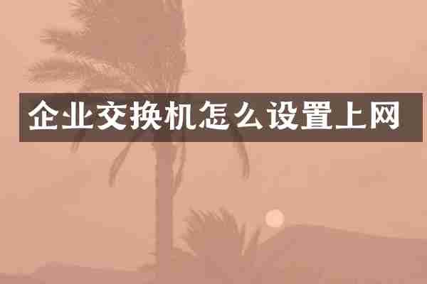 企业交换机怎么设置上网