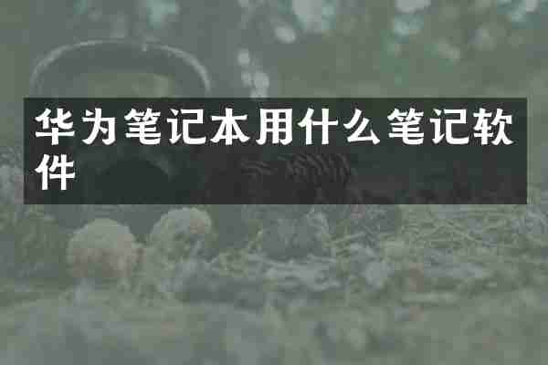 华为笔记本用什么笔记软件