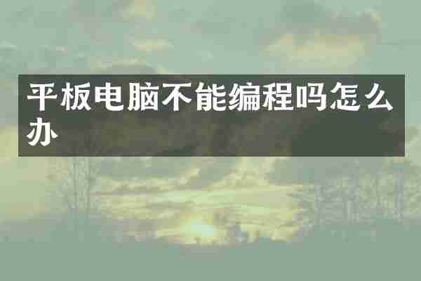 平板电脑不能编程吗怎么办