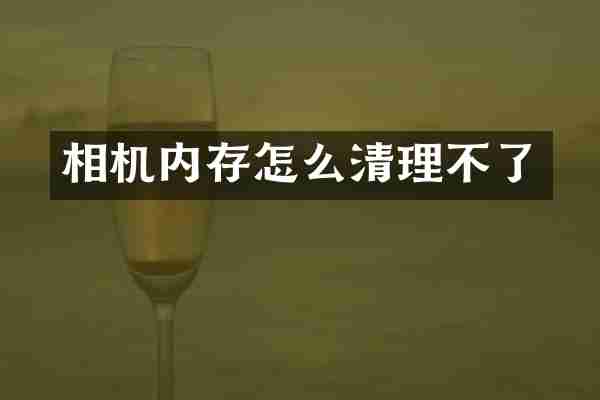 相机内存怎么清理不了