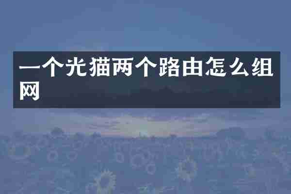 一个光猫两个路由怎么组网