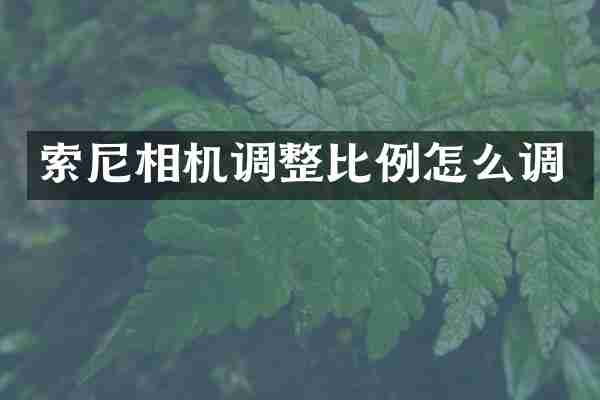 相机调整比例怎么调