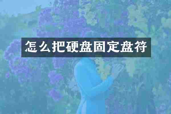 怎么把硬盘固定盘符