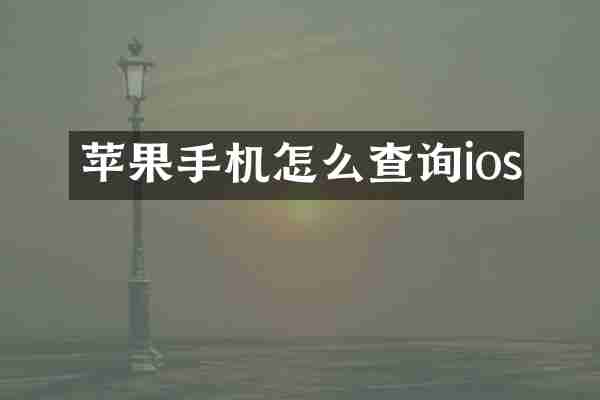 苹果手机怎么查询ios