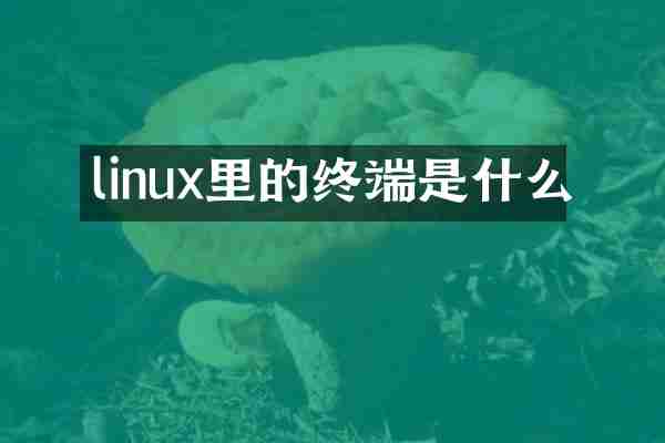 linux里的终端是什么