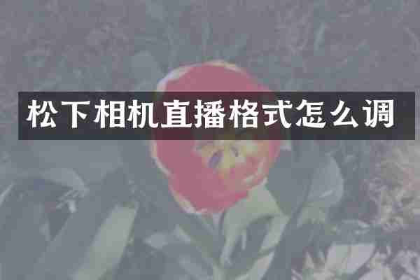 相机直播格式怎么调