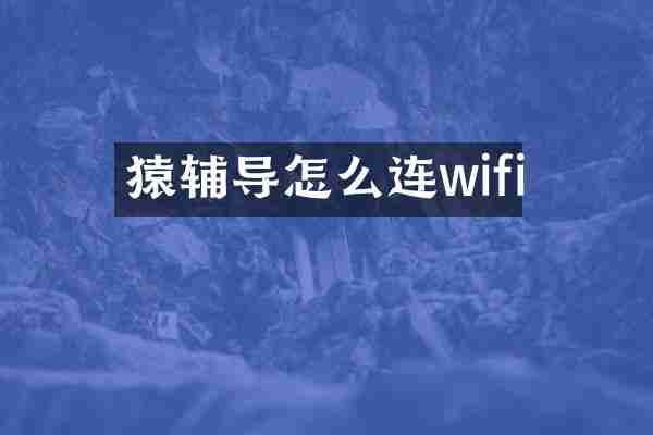 猿辅导怎么连wifi