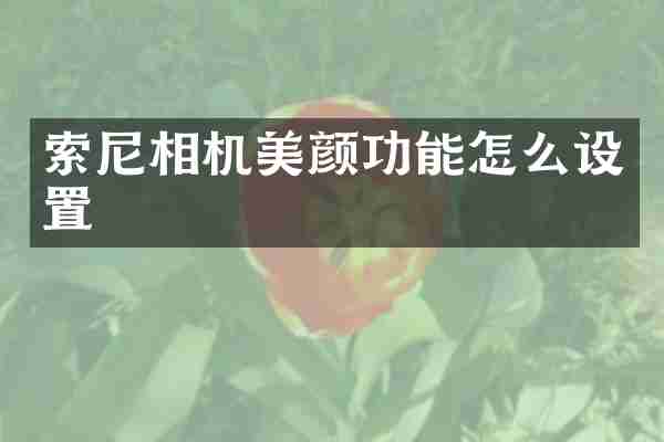 相机美颜功能怎么设置