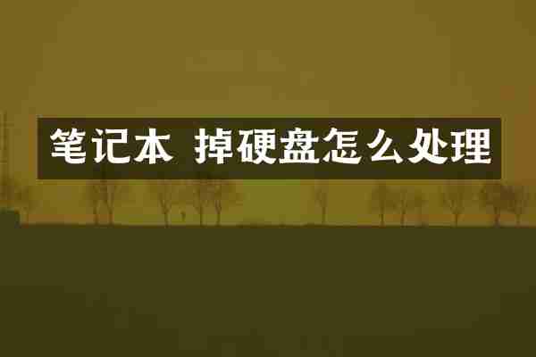 笔记本 掉硬盘怎么处理