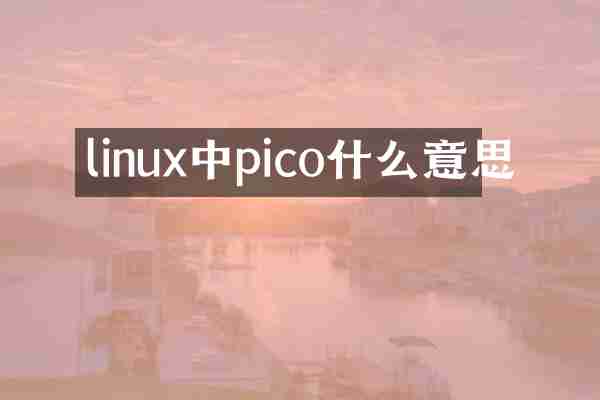 linux中pico什么意思