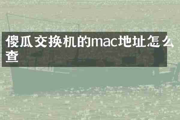 傻瓜交换机的mac地址怎么查