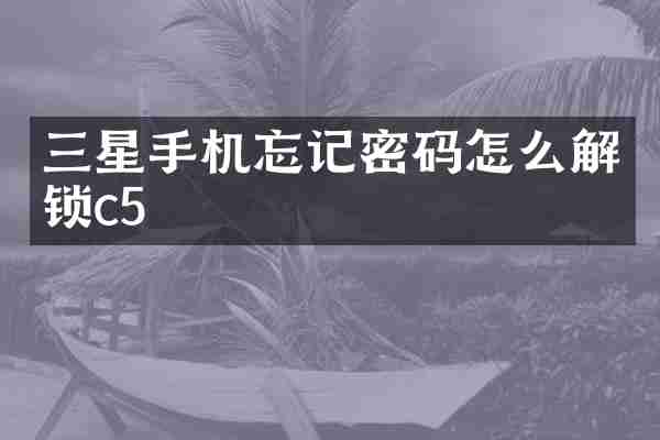 三星手机忘记密码怎么解锁c5