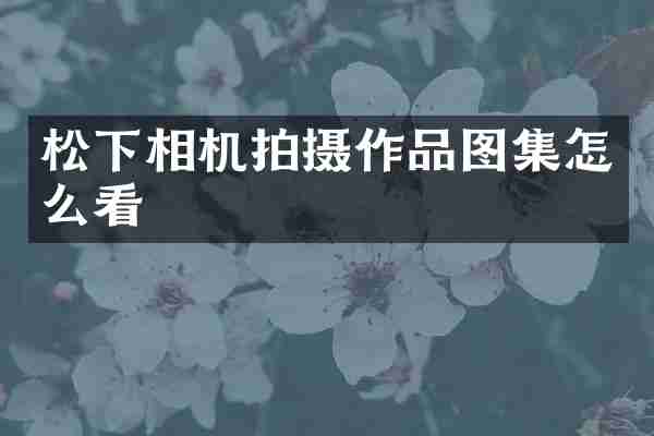 相机拍摄作品图集怎么看