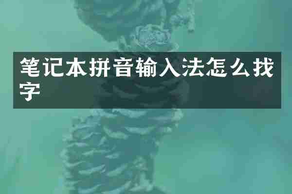 笔记本拼音输入法怎么找字