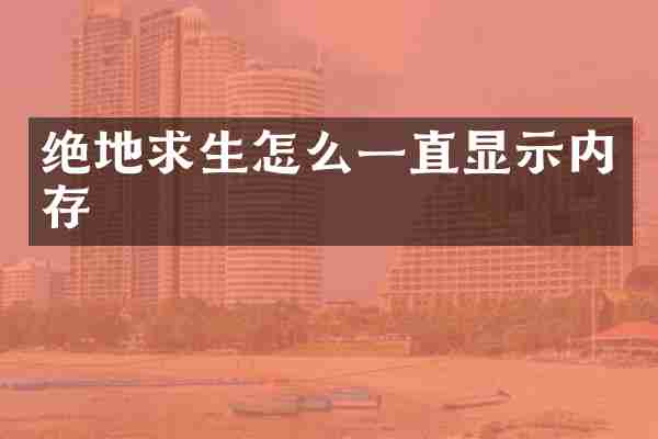 绝地求生怎么一直显示内存