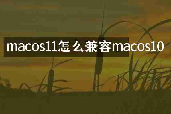 macos11怎么兼容macos10