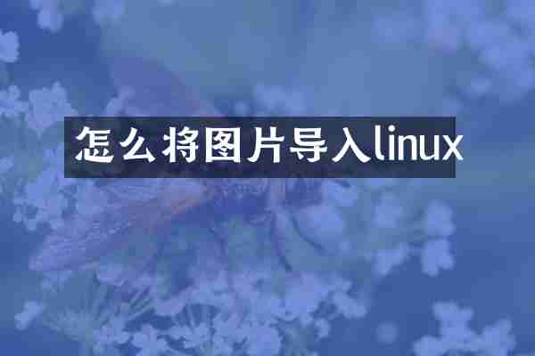 怎么将图片导入linux