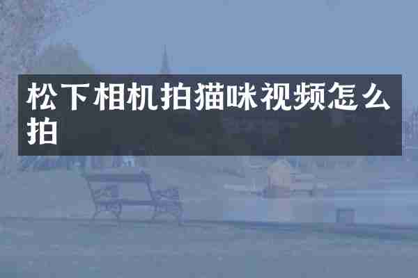 相机拍猫咪视频怎么拍