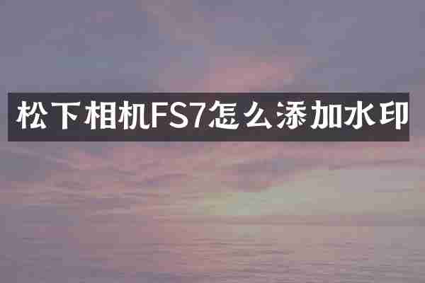 相机FS7怎么添加水印