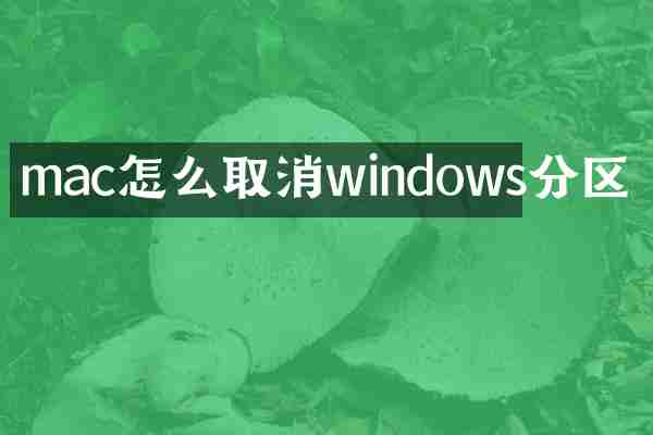 mac怎么取消windows分区