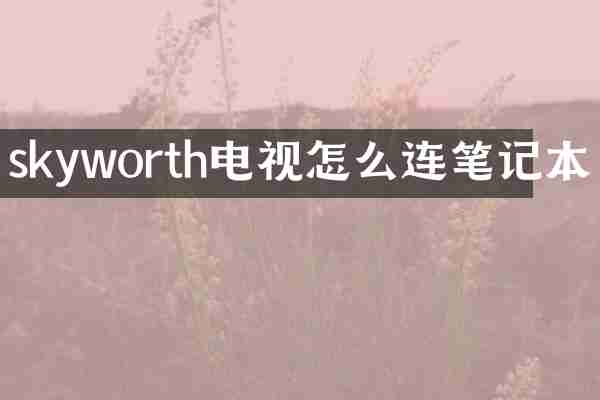skyworth电视怎么连笔记本
